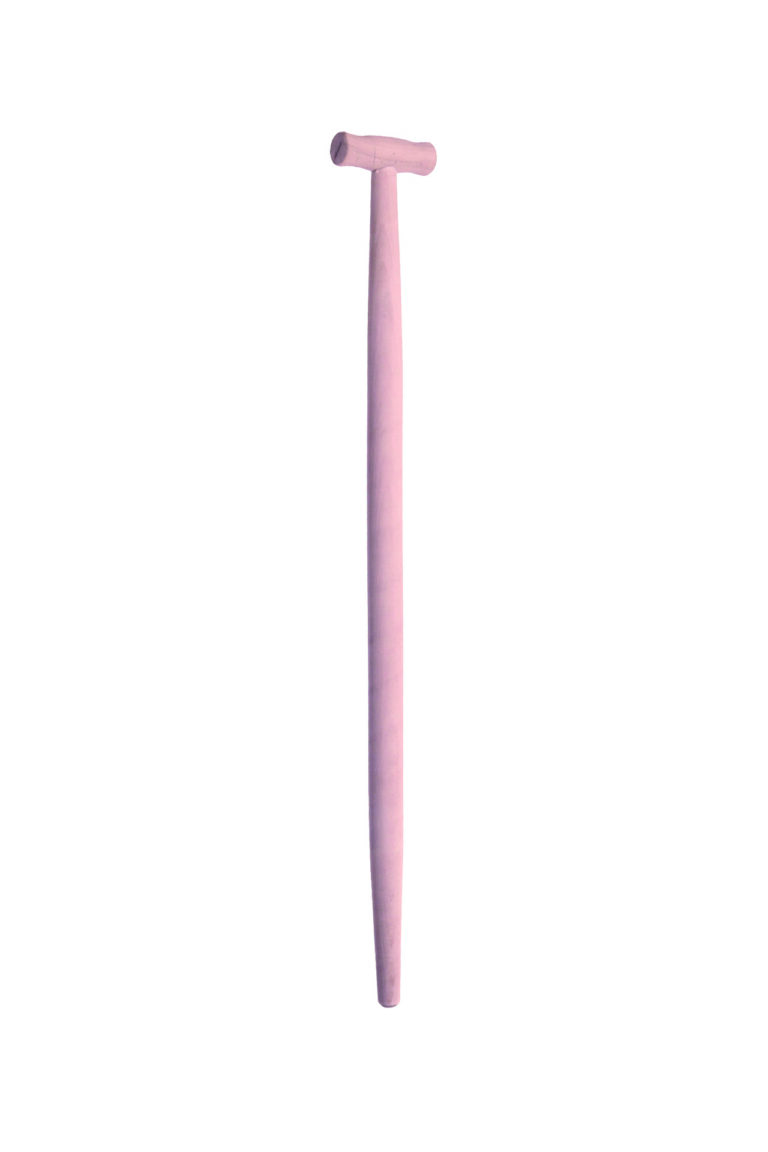 1669Trzon „T”